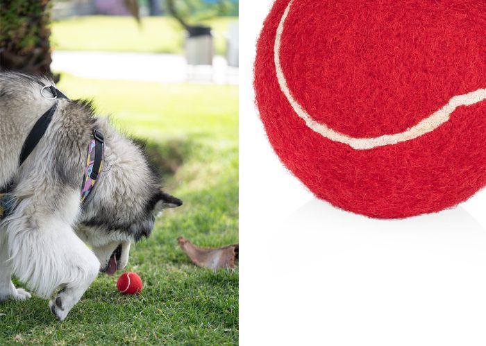 HO0403 Pelota para mascotas Marley - Imagen 5